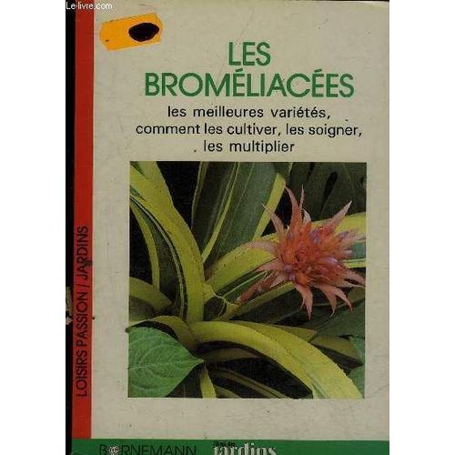 Les Bromeliacees Les Meilleures Varietes Comment Les Cultiver Les S... on Productcaster.