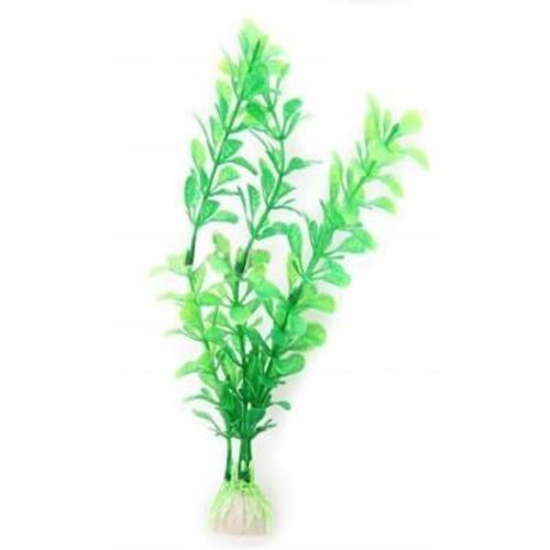 Plante Montante Verte on Productcaster.