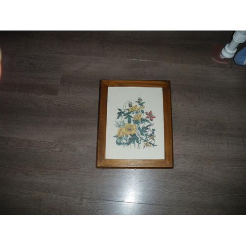 Tableau Gravure Floral Ancienne on Productcaster.