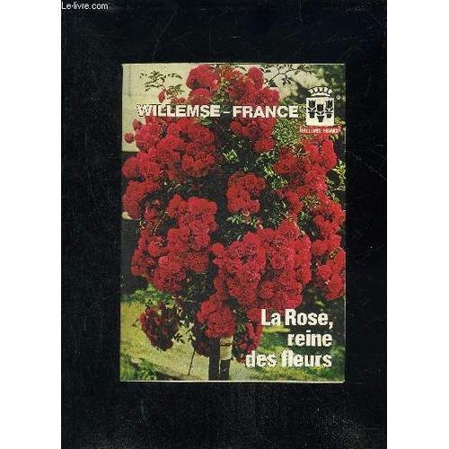 Willemse France - La Rose Reine Des Fleurs. on Productcaster.