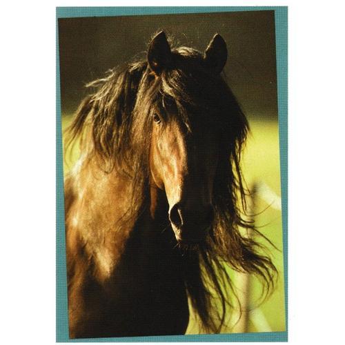 N° 79 - Stickers Image Panini Chevaux Une Aventure Incroyable on Productcaster.