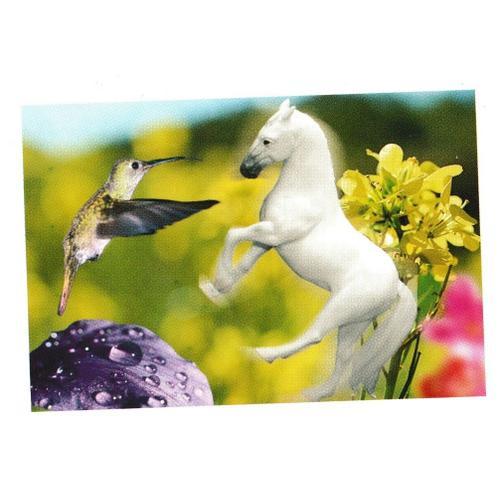 N° 164 - Stickers Image Panini Chevaux Une Aventure Incroyable on Productcaster.