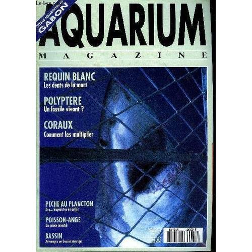 Aquarium Magazine N° 90 Requin Blanc Les Dents De La Mort - Polyptè... on Productcaster.