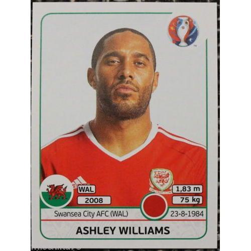 Vignette Panini Euro 2016 N°182 : Ashley Williams on Productcaster.