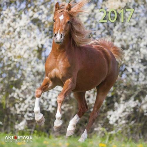 Calendrier 2017 - Chevaux - Horses - 30x30 Cm on Productcaster.