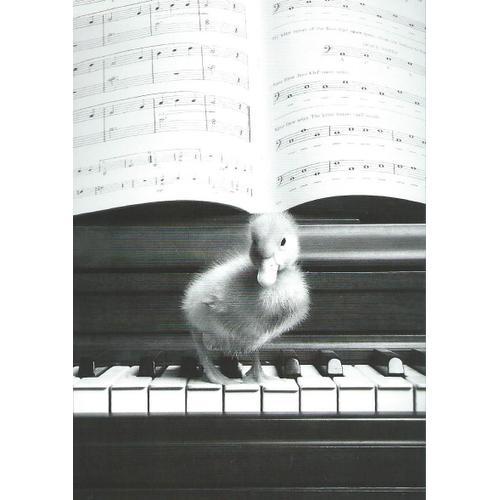 Carte Postale Moderne : Sonate Pour Un Canard / Sonata For A Duck (... on Productcaster.