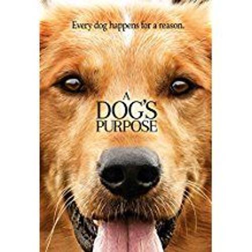 Mes Vies De Chien - A Dog's Purpose on Productcaster.