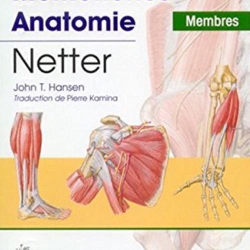 Mémofiches Anatomie Netter - Membres on Productcaster.