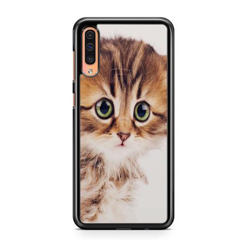 Coque Pour Huawei P30 Chat Cat Animaux Main Coon Persan Ref 485 on Productcaster.