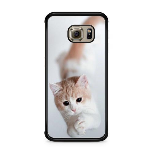 Coque Pour Samsung Galaxy S6 Chat Cat Animaux Main Coon Persan Ref ... on Productcaster.