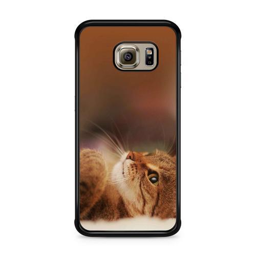 Coque Pour Samsung Galaxy Note 8 Chat Cat Animaux Main Coon Persan ... on Productcaster.