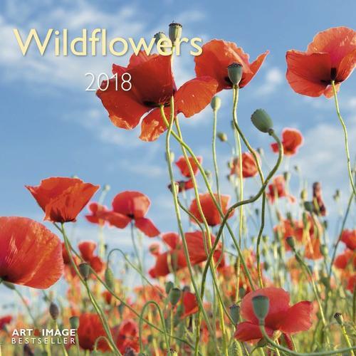 Wildflowers -Calendrier 2018 - 30x30 Cm on Productcaster.