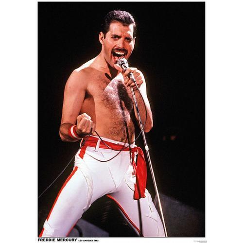 Freddie Mercury - Queen - Los Angeles 1982 - 59x84cm - Affiche / Po... on Productcaster.