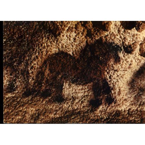 Carte Postale De Montignac Sur Vézère (Dordogne) Grotte De Lascaux ... on Productcaster.