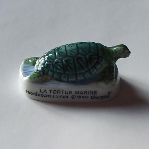 Fève La Tortue Marine on Productcaster.