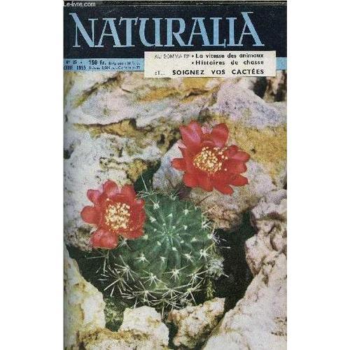 Naturalia N° 26 - Pourquoi Les Feuilles Tombent Par Le Dr L. Marcer... on Productcaster.