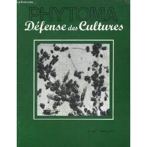 Phytoma Defense Des Cultures N°247 Avril 1973 - Le Feu Bactérien Du... on Productcaster.