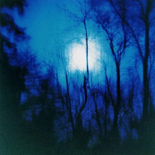 Flying Saucer Attack - Further - Vinilo on Productcaster.