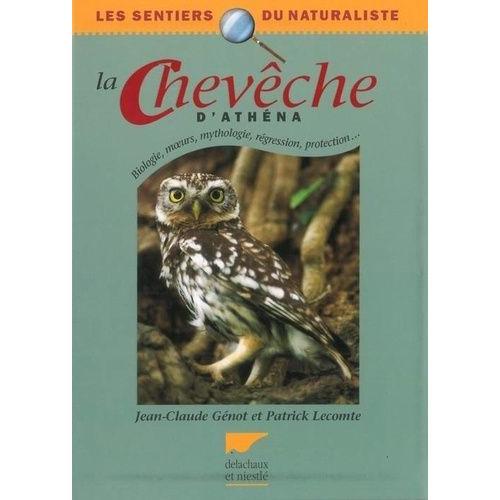 La Chevêche D'athéna on Productcaster.