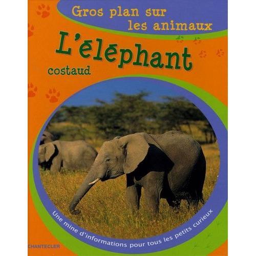 L'éléphant Costaud on Productcaster.