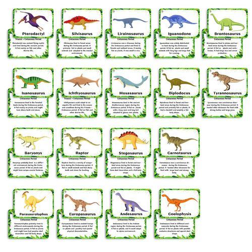 100 dinosaures cognitifs sac cartes éducatives dinosaures cognitifs... on Productcaster.