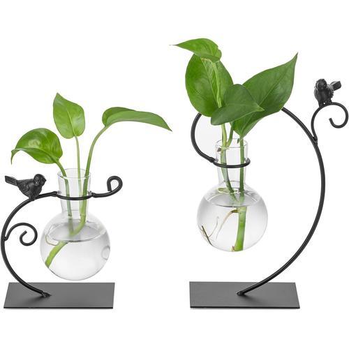 Noir Noir Plante Station de Propagation Verre Vase - 12.5cm/21cm Ha... on Productcaster.