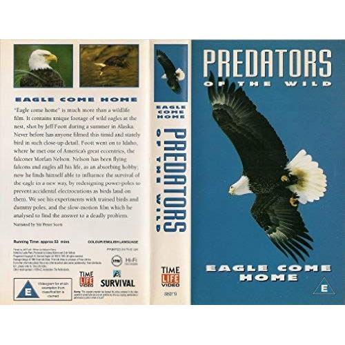 Predators Of The Wild - Eagle Come Home on Productcaster.