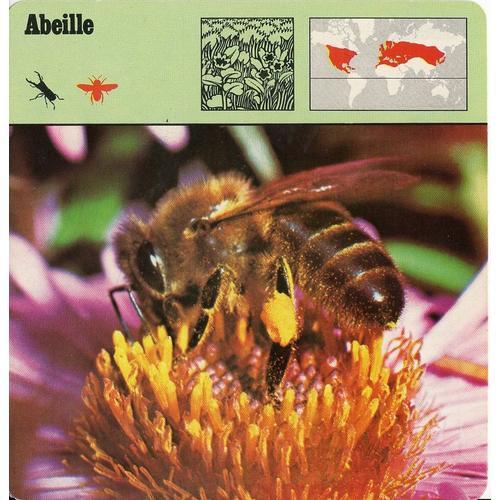 Fiche Abeille on Productcaster.