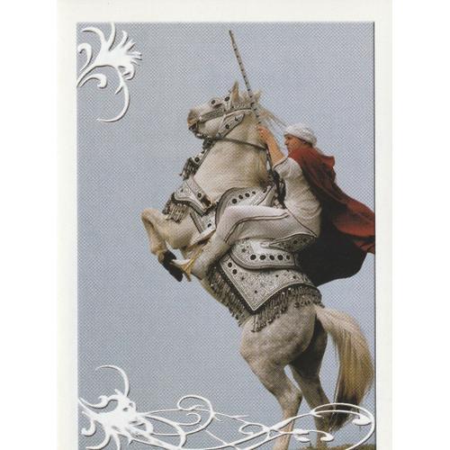 N° 36 - Stickers Image Panini Vignette - Un Amour De Cheval on Productcaster.