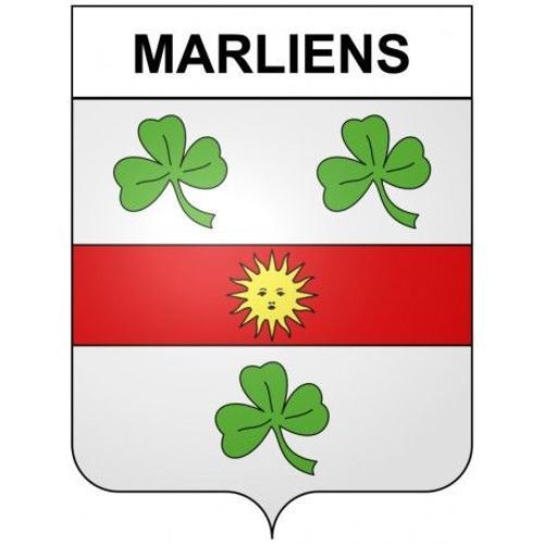 Marliens 21 Ville Stickers Blason Autocollant Adhésif - Taille : 12... on Productcaster.