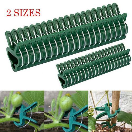 Clips fixes r¿¿utilisables pour plantes de jardin, 30 pi¿¿ces, pour... on Productcaster.