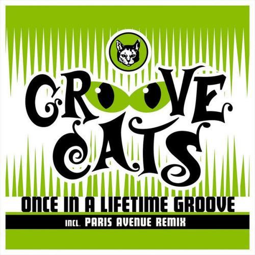 Once In A Lifetime Groove ( Maxi 45 Tours ) on Productcaster.