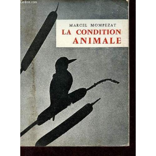 La Condition Animale - Collection Documentaire Illustré. on Productcaster.