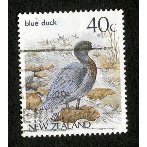 Timbre New Zealand, Blue Duck, 40c on Productcaster.