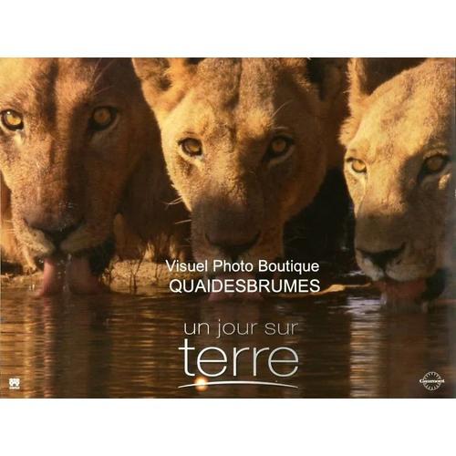 Un Jour Sur Terre - Earth (Film Documentaire): Jeu De 8 Photos D'ex... on Productcaster.