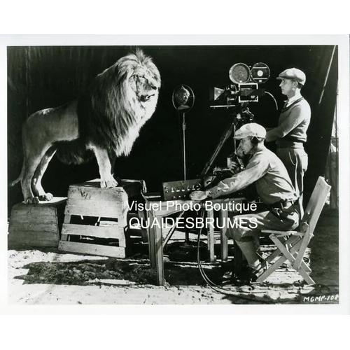 Metro Goldwyn Mayer - The Lion Roars: Photo Argentique D'exploitati... on Productcaster.