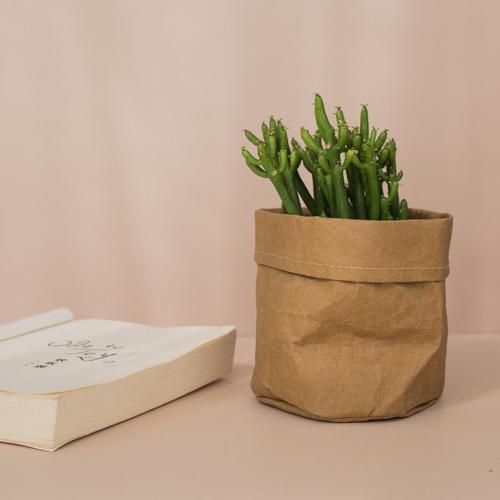 Sac de rangement en papier Kraft pour plantes, 1 pièce, sac seau cr... on Productcaster.