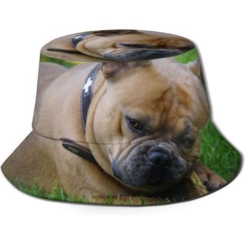 Casquette De P¿ocheur Pour Chien,Chapeau D¿¿Contract¿¿,Protection U... on Productcaster.