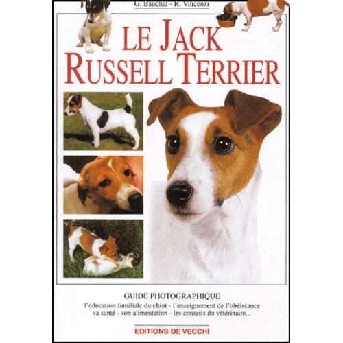 Le Jack Russel Terrier on Productcaster.