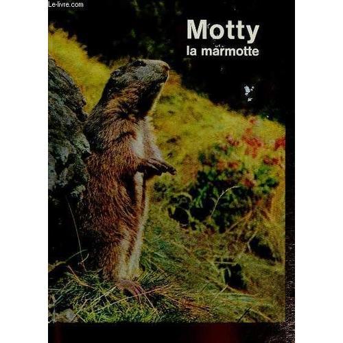 Motty La Marmotte Qui Ne Voulait Pas Dormir on Productcaster.