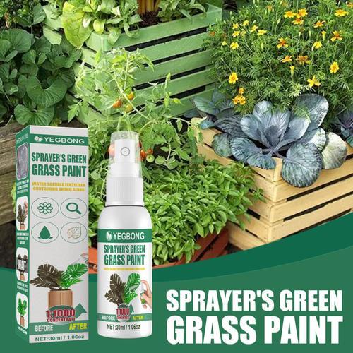 Spray De Peinture De Pelouse Verte, Solution Alimentaire Liquide, P... on Productcaster.