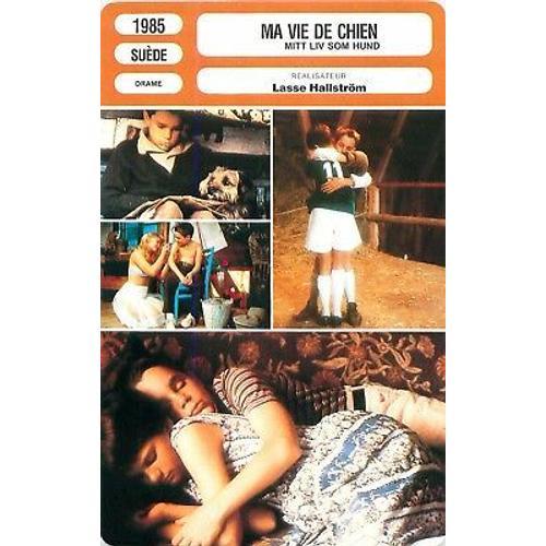 Fiche Monsieur Cinema Ma Vie De Chien on Productcaster.