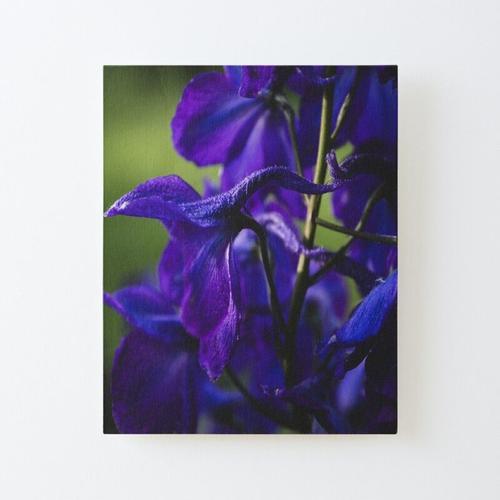 Canevas imprimer Delphinium violet foncé gros plan Impression sur t... on Productcaster.