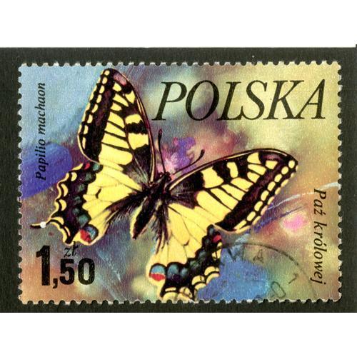 Timbre Oblitéré Polska, Paz Krolowej, Papilio Machaon, 1.50 Zl on Productcaster.