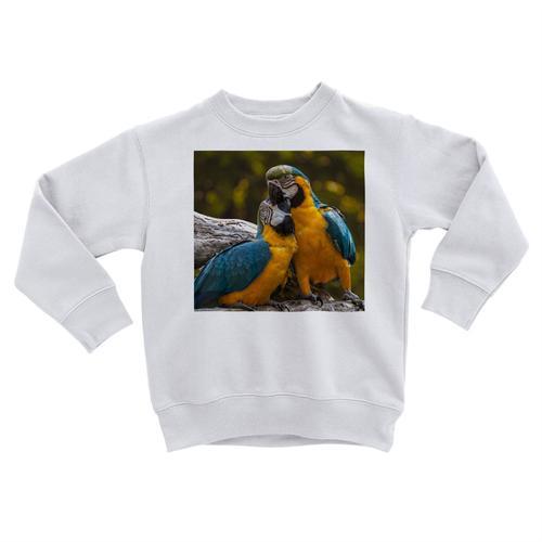 Sweatshirt Enfant Perroquets S'embrassent Amour Oiseaux Exotiques S... on Productcaster.