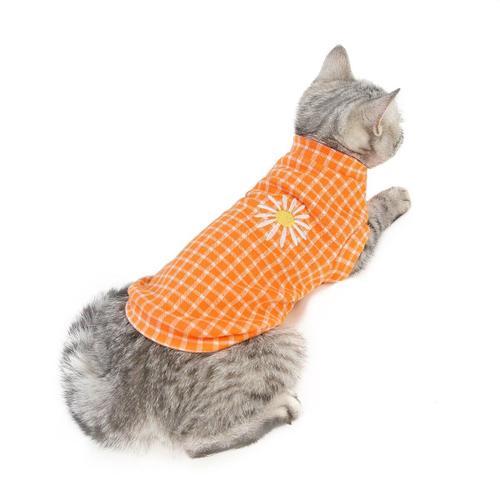 Vêtements Pour Chats Automne Et Hiver Vêtements Nouveaux Vêtements ... on Productcaster.