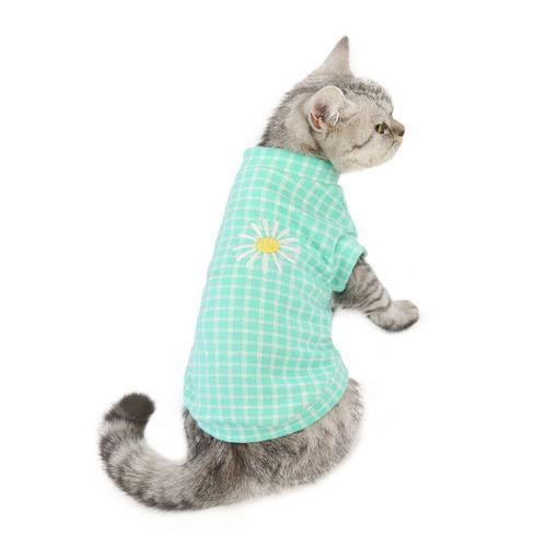 Vêtements Pour Chats Automne Et Hiver Vêtements Nouveaux Vêtements ... on Productcaster.