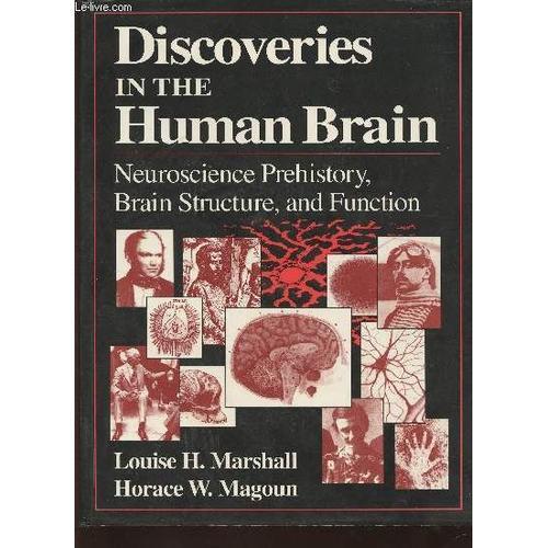 Discoveries In The Human Brain- Neuroscience, Prehistory, Brain Str... on Productcaster.