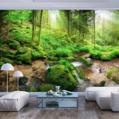 Papier peint intissé Paysages Humid Forest : Taille - 250 x 175 cm on Productcaster.