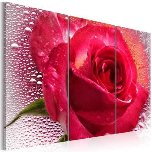 Tableau Fleurs Lady Rose - triptych 90 x 60 cm on Productcaster.